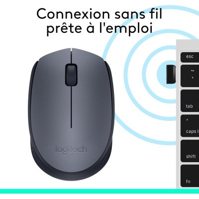 Logitech M170 Wireless Mouse - GREY-K